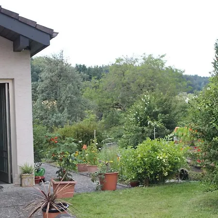 Nahe Dem Alpakahof *